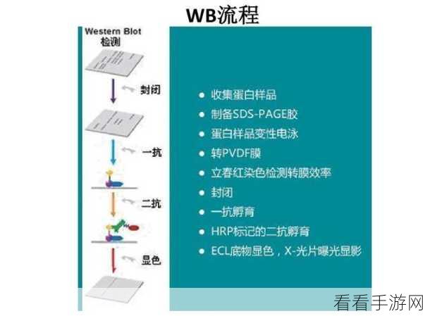 乐速通开户信息变更审核全解析，流程、时长与注意事项