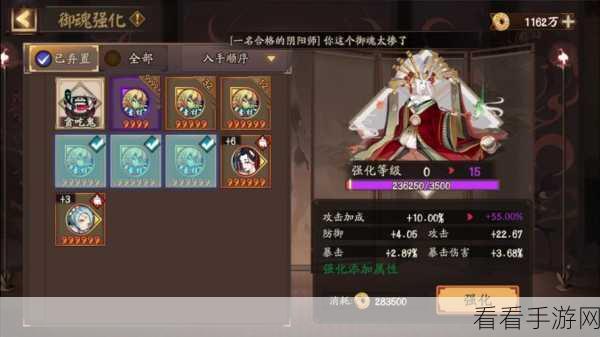 阴阳师SR白狼极限单体爆发，御魂搭配与实战攻略揭秘