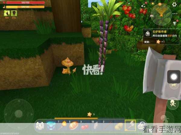 迷你世界甘蔗种植攻略，解锁甜蜜资源，打造梦幻庄园