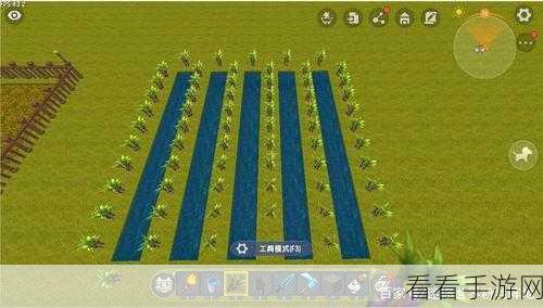 迷你世界甘蔗种植攻略,解锁甜蜜资源,打造梦幻庄园