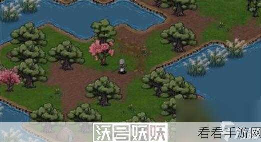 烟雨江湖深度探索，泉州支线任务东张西望触发与完美攻略