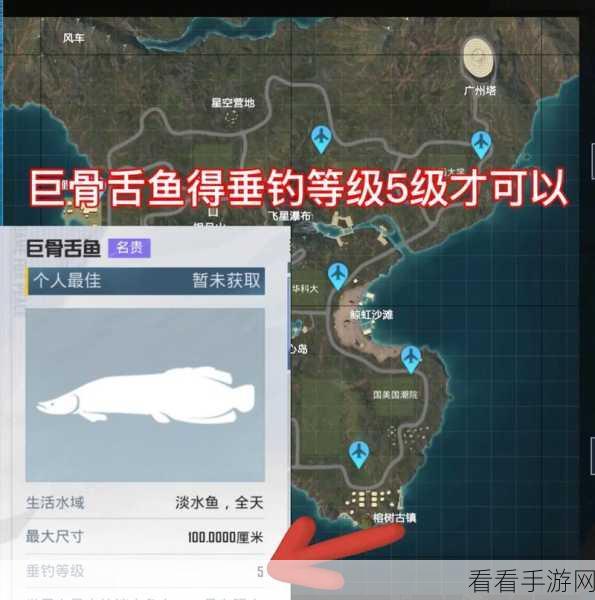 和平精英绿洲世界，钓鱼技巧大揭秘，助你成为钓鱼高手！