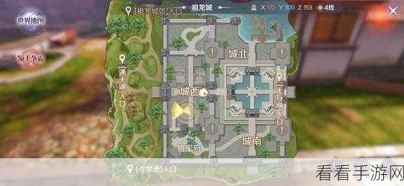 完美世界手游，揭秘隐藏任务与金大叔比武全胜攻略