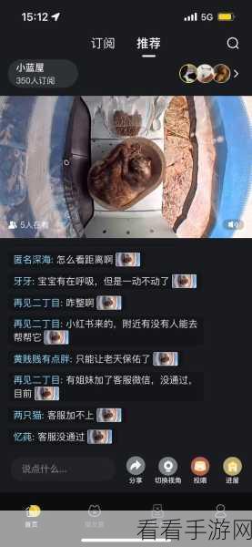 哈啰街猫猫屋争议，为何不能置于小区外？深度解析与社区反响