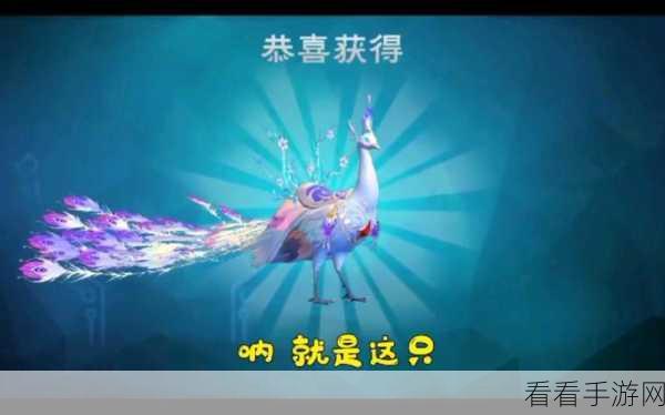 白灵孔雀闪耀降临,揭秘创造与魔法稀有宠物获取秘籍
