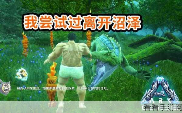 黑创世纪，萌新秒变大神的极速上手秘籍