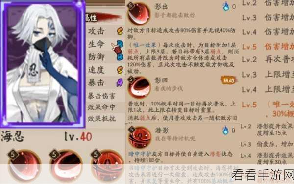 海忍御魂搭配全攻略，阴阳师顶尖玩家揭秘高效组合
