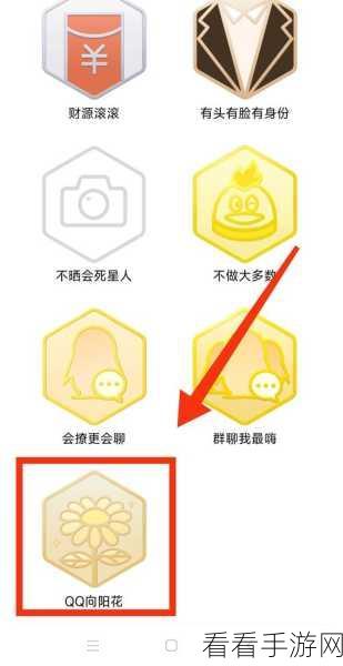 QQ勋章墙消失之谜，探寻背后的变化与影响