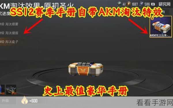 和平精英赛季精英手册深度解析，豪华奖励值得入手吗？