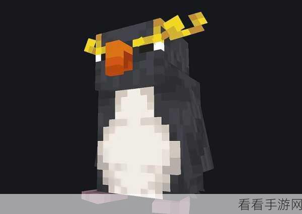 我的世界企鹅寻觅指南,全面揭秘企鹅栖息地与分布细节