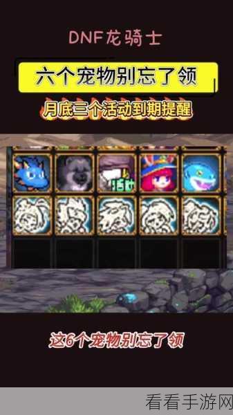 DNF手游攻略，轻松解决树精宠物无法卸下难题