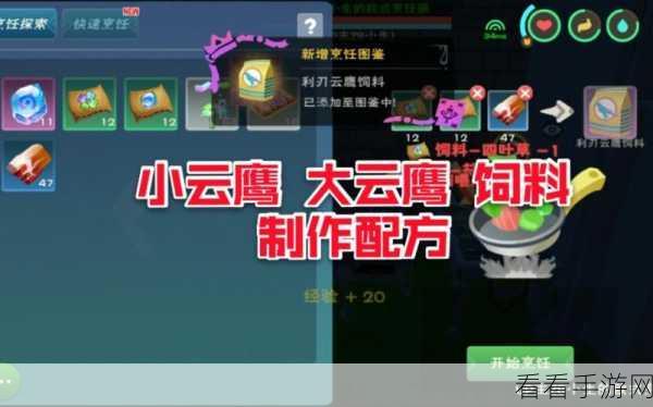 云鹰翱翔，饲料自给自足，创造与魔法云鹰饲料制作全攻略
