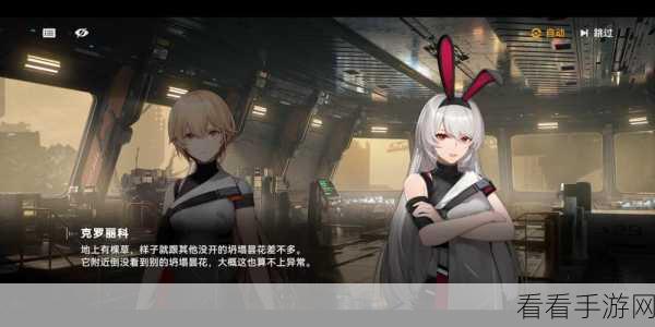 少女前线，铁血精英阵容揭秘与搭配攻略