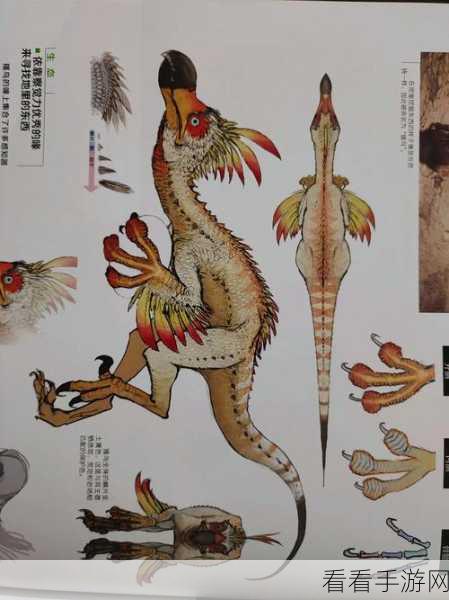 怪物猎人世界，揭秘搔鸟风笛I，踏上属性素材探索之旅