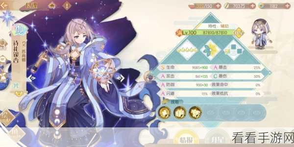 攻守全能！萌新从入门到精通的成长秘籍