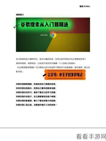 攻守全能！萌新从入门到精通的成长秘籍