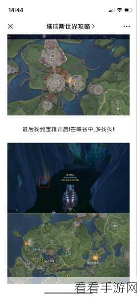 探秘塔瑞斯世界迷雾森林，全攻略图鉴大揭秘