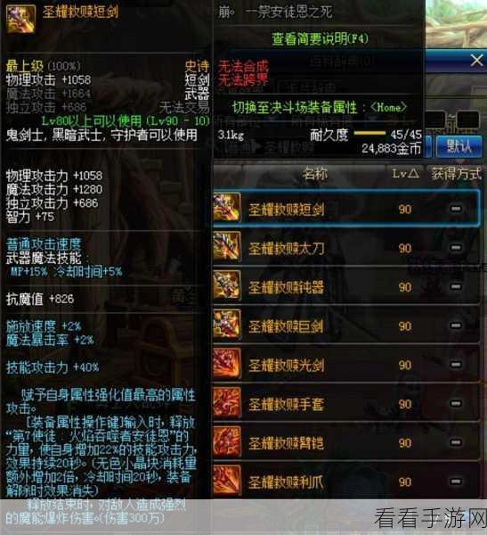 DNF圣耀服务全解析，尊享特权与极致游戏体验