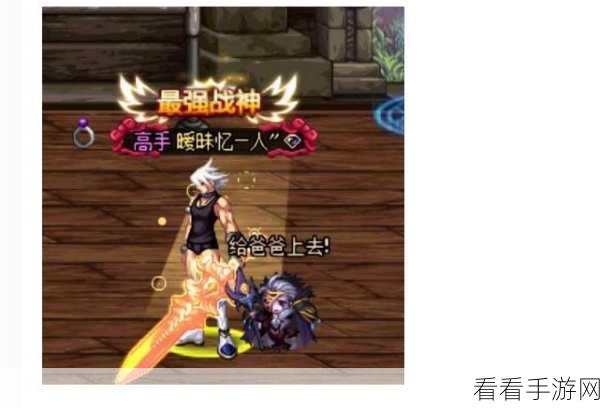 DNF圣耀服务全解析,尊享特权与极致游戏体验