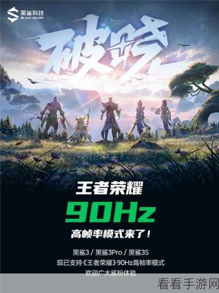 王者荣耀高帧率模式全面解析,哪些手机能畅享丝滑对战?