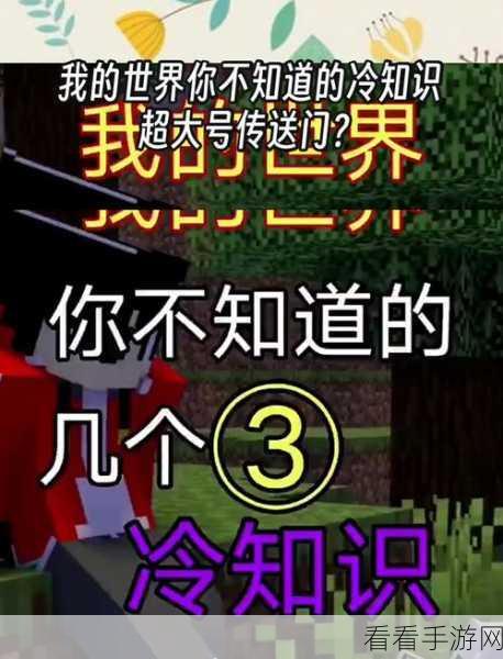 探秘我的世界，十大鲜为人知的实用冷知识大揭秘