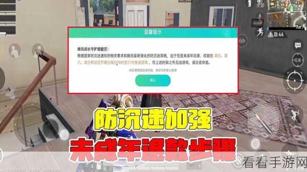 和平精英未成年防沉迷系统深度解析，合法合规享受游戏乐趣的指南