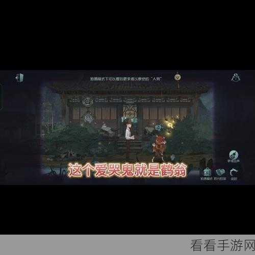 深度解析，第五人格鹤翁帮忙任务高效攻略，解锁隐藏奖励秘籍