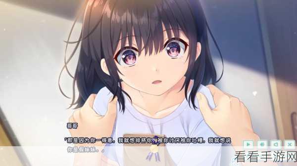 2024 必玩 Galgame 游戏大盘点及下载指南