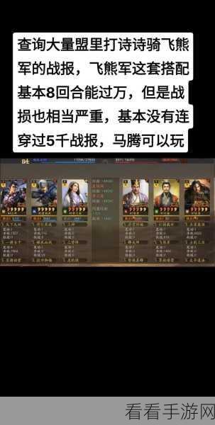 马腾驰骋三国战场，三国志·战略版马腾战法与阵容搭配深度解析