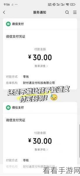 圣才电子书充值攻略，轻松掌握余额充值方法，畅享游戏资讯无忧！