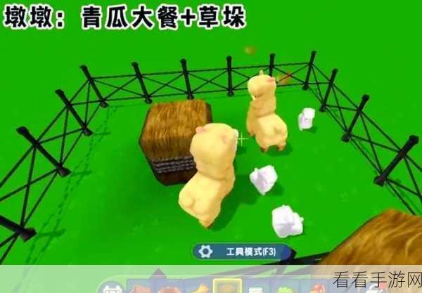 迷你世界养鸡秘籍，从幼崽到产蛋的全方位攻略