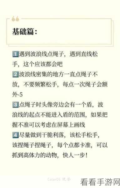烟雨江湖深度攻略，泉州支线任务全解析与高效完成技巧