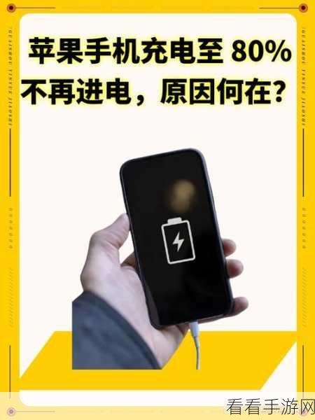 苹果手机充电难题大揭秘，为何你的iPhone充不进电？