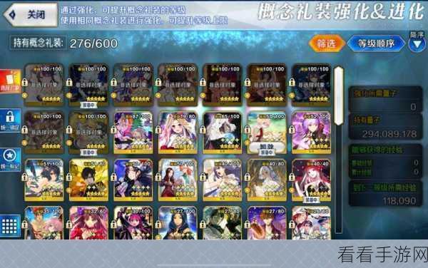 FGO迦勒底礼装全解析,技能特效与独特魅力深度探索