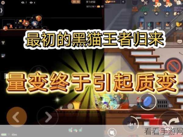 黑猫布奇称霸猫和老鼠手游，进阶攻略与实战技巧大揭秘