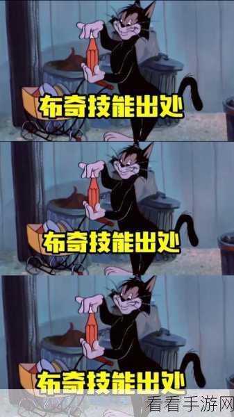 黑猫布奇称霸猫和老鼠手游，进阶攻略与实战技巧大揭秘