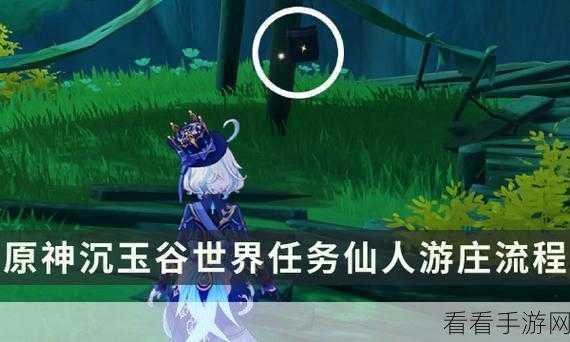原神深度攻略，揭秘仙人游庄任务全流程与高效完成技巧