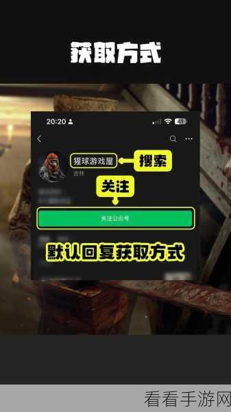 生化危机4重制版全按键操作指南，掌握生存与战斗的艺术