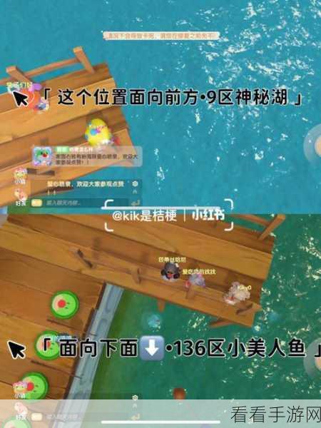 摩尔庄园，独家揭秘粉色海豚神秘获取之道