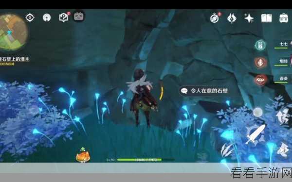 原神石壁灌木调查任务全攻略，解锁隐藏宝藏的秘诀
