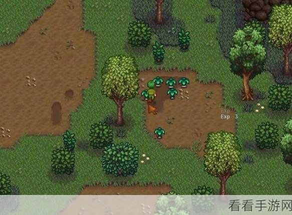 星露谷物语深度探索，揭秘豪斯神秘居所全攻略