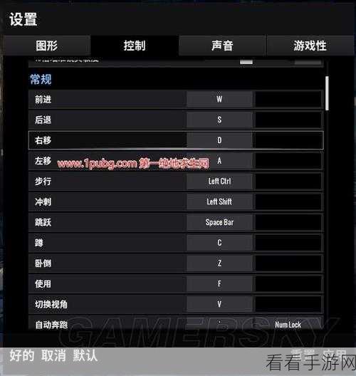 绝地求生大逃杀，全面优化设置指南，助你提升吃鸡胜率