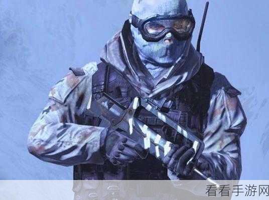 使命召唤手游，FAMAS突击步枪配件搭配全解析，助你战场制霸