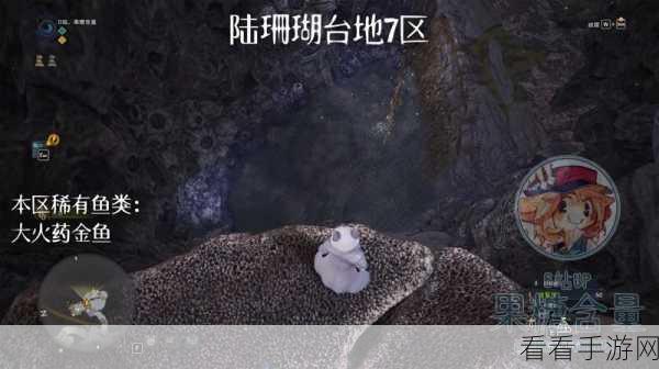 怪物猎人崛起，钓鱼勋章全攻略 稀有鱼出没地点大揭秘