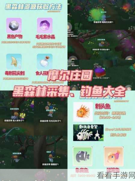 摩尔庄园手游，揭秘黑森林传说鱼的垂钓秘籍