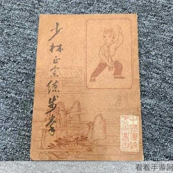烟雨江湖深度攻略，指禅功秘籍大公开，助你称霸武林