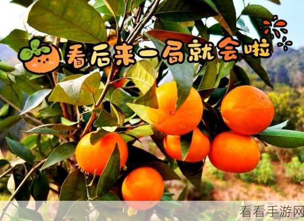 武道神尊，高性价比功能牌全攻略
