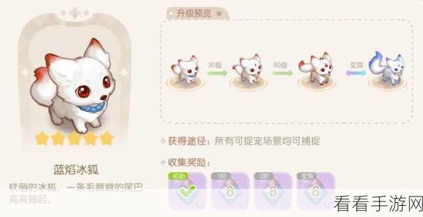 奥拉星手游深度揭秘，百川图鉴全解析与珍稀宠物捕捉攻略