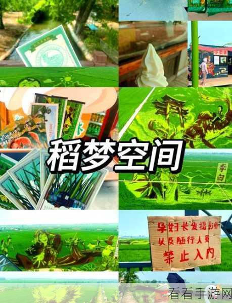 到梦空间APP学籍认证全攻略，轻松解锁校园活动新体验