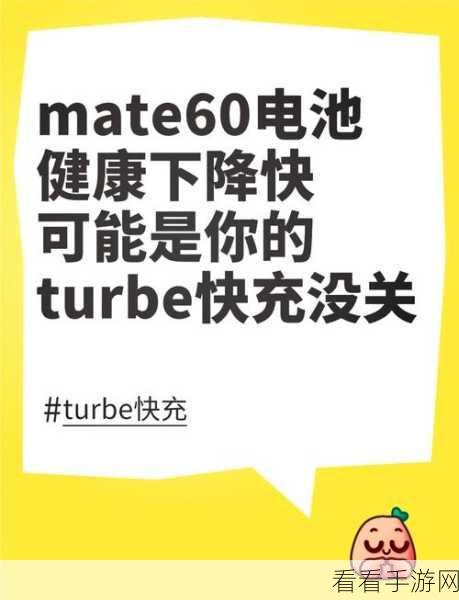 华为荣耀 9X 充电显示秘籍，全方位设置指南